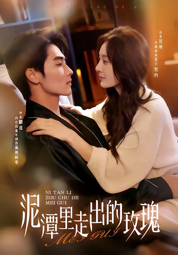 047636-泥@潭@里@走@出@的@玫@瑰@ (91集) 谢筱溦&陈钊竖 - 夸克网盘 资源封面图