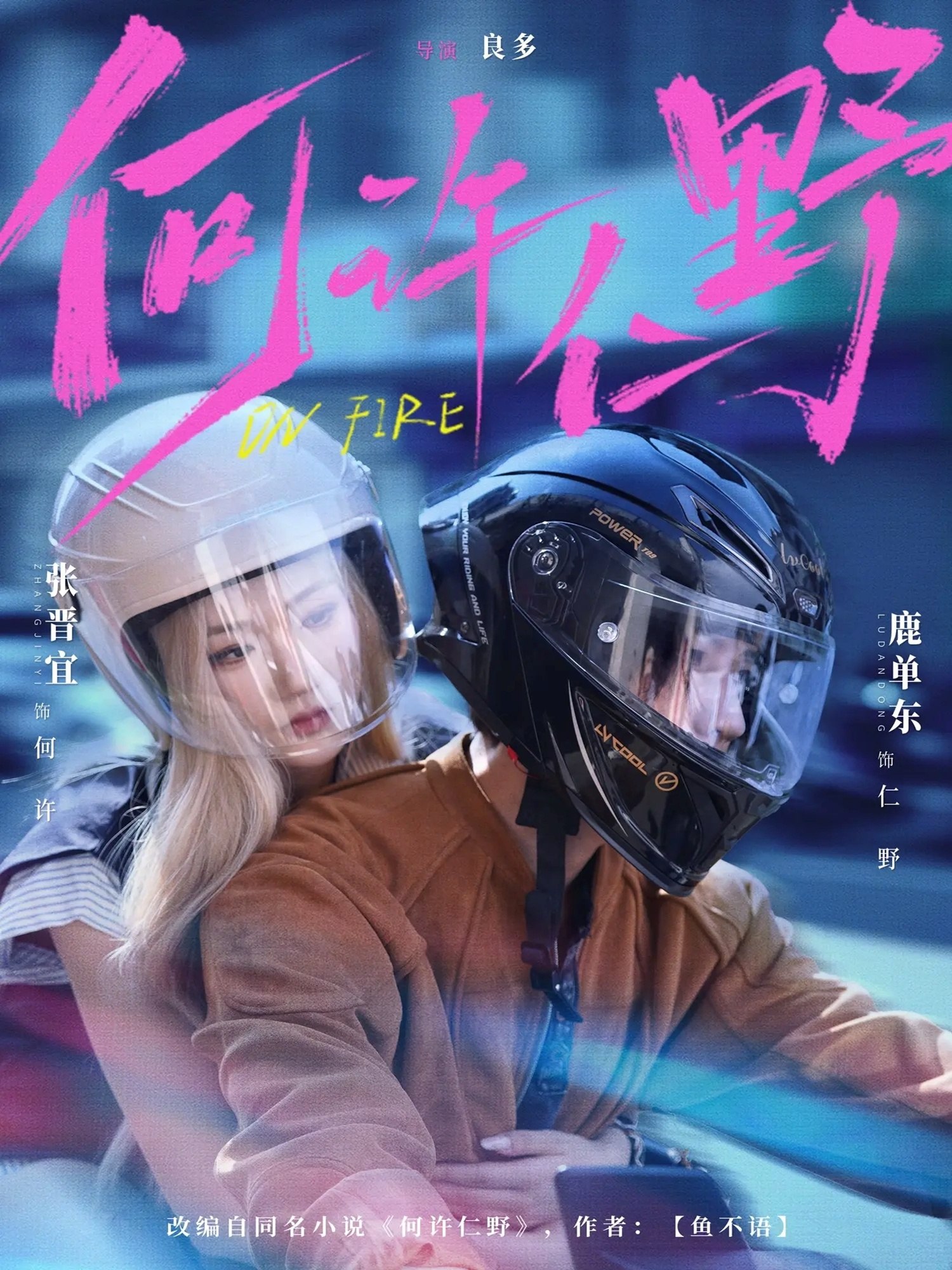 047838-何@许@仁@野@ (60集) 鹿单东&张晋宜 - 夸克网盘 资源封面图