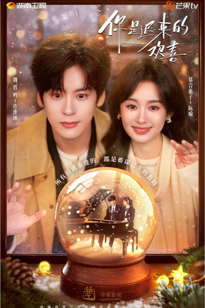 你是迟来的欢喜 (2026) 4K HDR Vivid 50FPS 高码率 [无台标] [更新11集] - 百度网盘 资源封面图