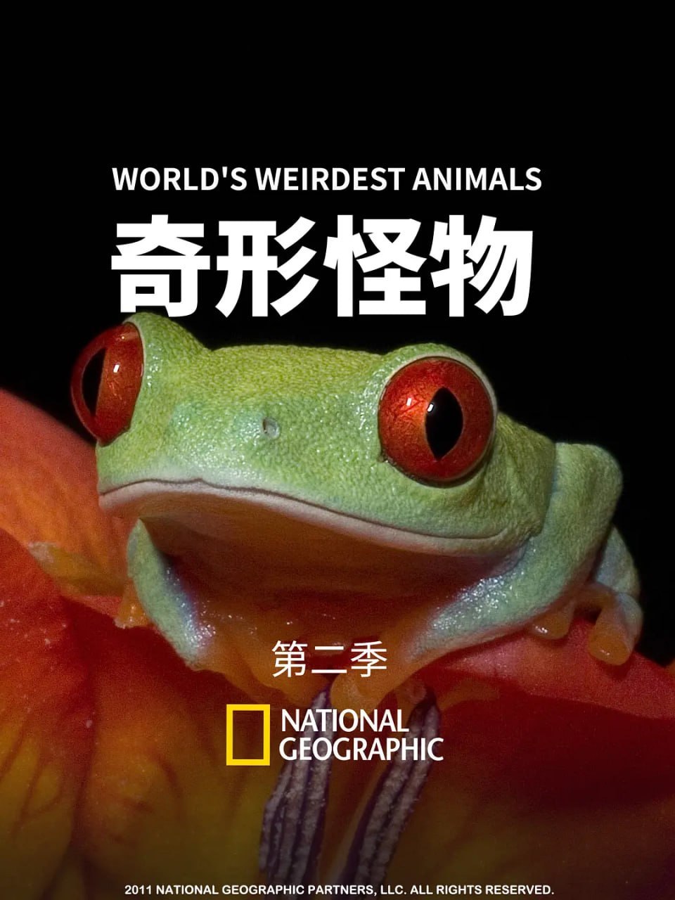 奇形怪物 第二季 World's Weirdest Season 2 (2012) - 夸克网盘 资源封面图