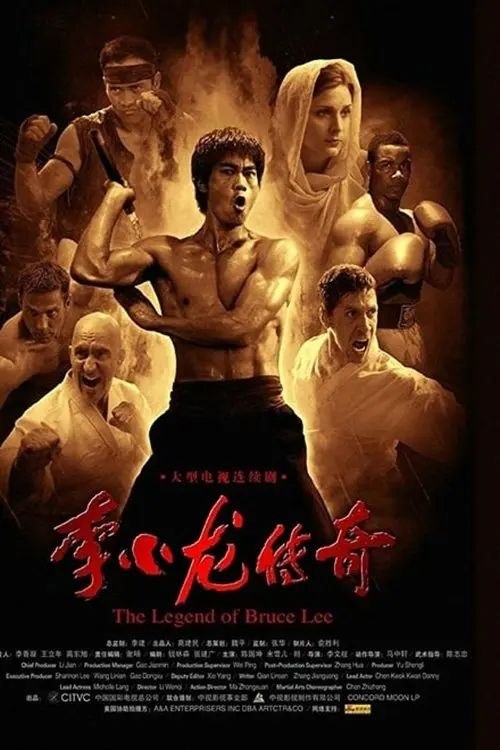 李小龙传奇 (2008) 1080P - 夸克网盘 资源封面图