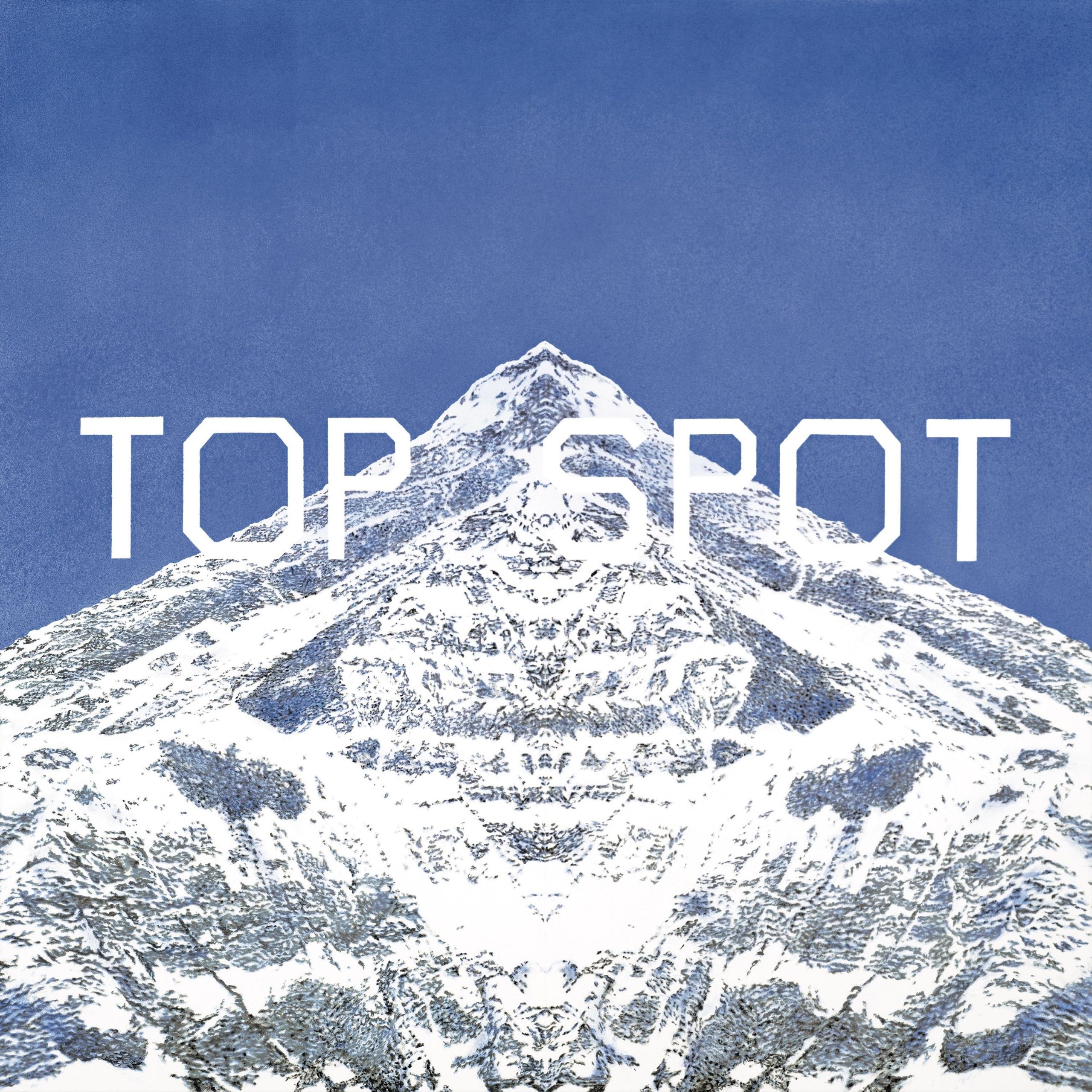 TOP SPOT - ANOTHER DIMENSION [E] [FLAC] [24Bit - 96kHz] T - 夸克网盘 资源封面图