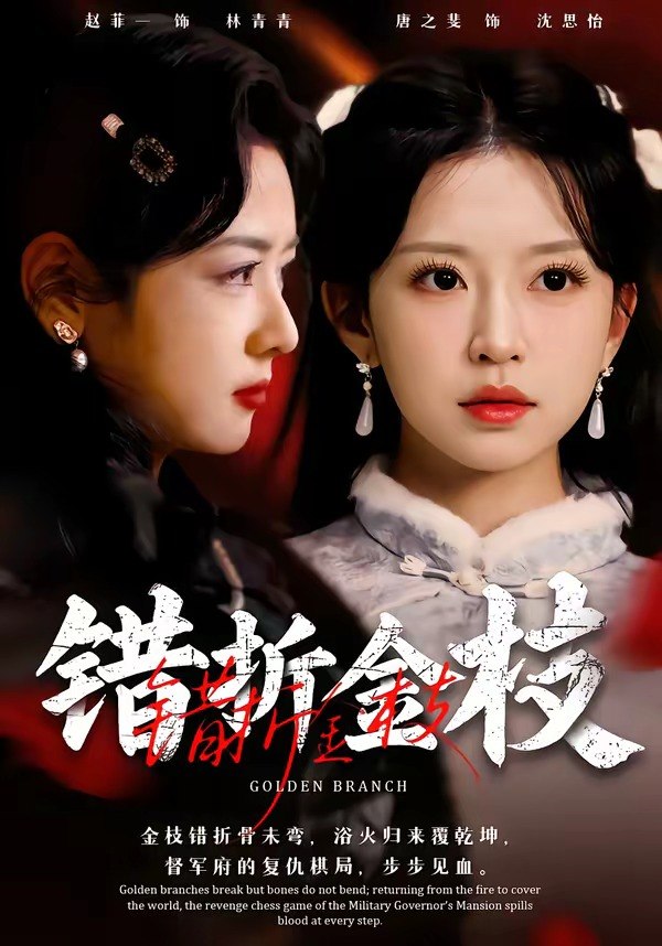 49.错折金枝（46集）金泽元＆唐之斐 - 夸克网盘 资源封面图