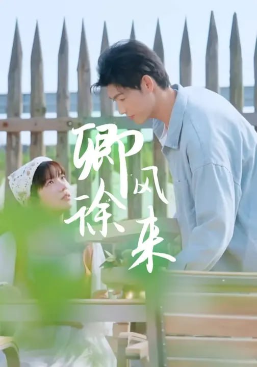 卿风徐来（15集）王不凡&朱芝琳 - 夸克网盘 资源封面图