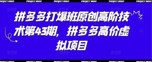 拼多多打爆班原创高阶技术第43期 - 夸克网盘 资源封面图
