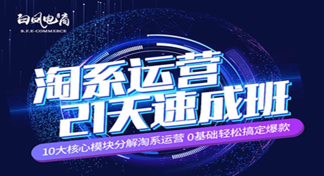 白凤电商：淘系运营21天速成班 - 夸克网盘 资源封面图