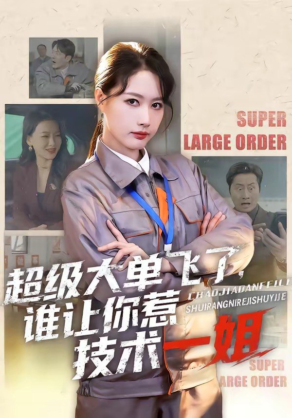 048875-超@级@大@单@飞@了@，@谁@让@你@惹@技@术@一@姐@ (70集) 黄兴饶&张子璇 - 夸克网盘 资源封面图