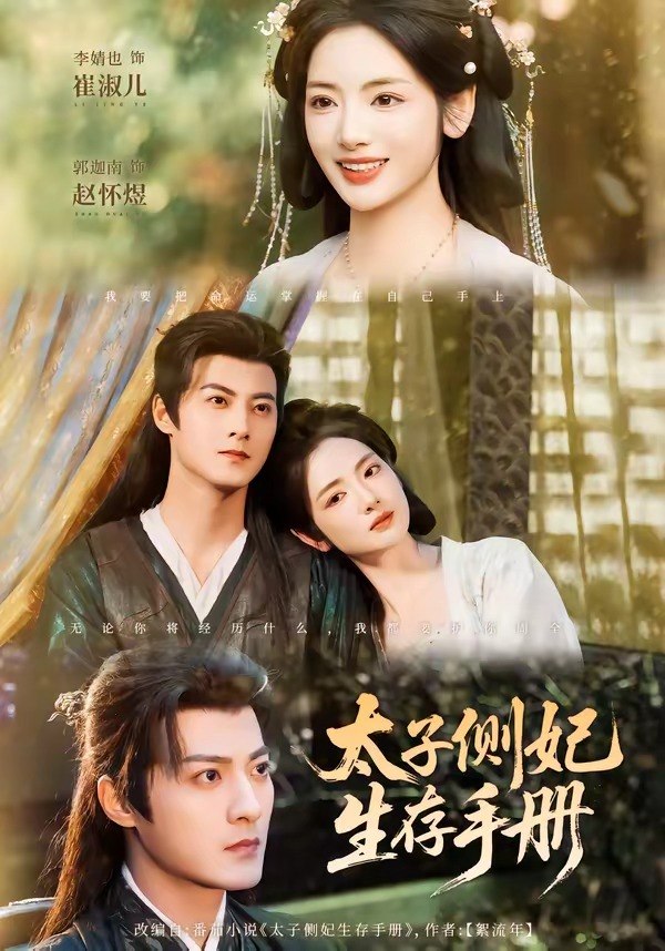 048913-太@子@侧@妃@生@存@手@册@ (63集) 郭迦南&李婧也 - 夸克网盘 资源封面图