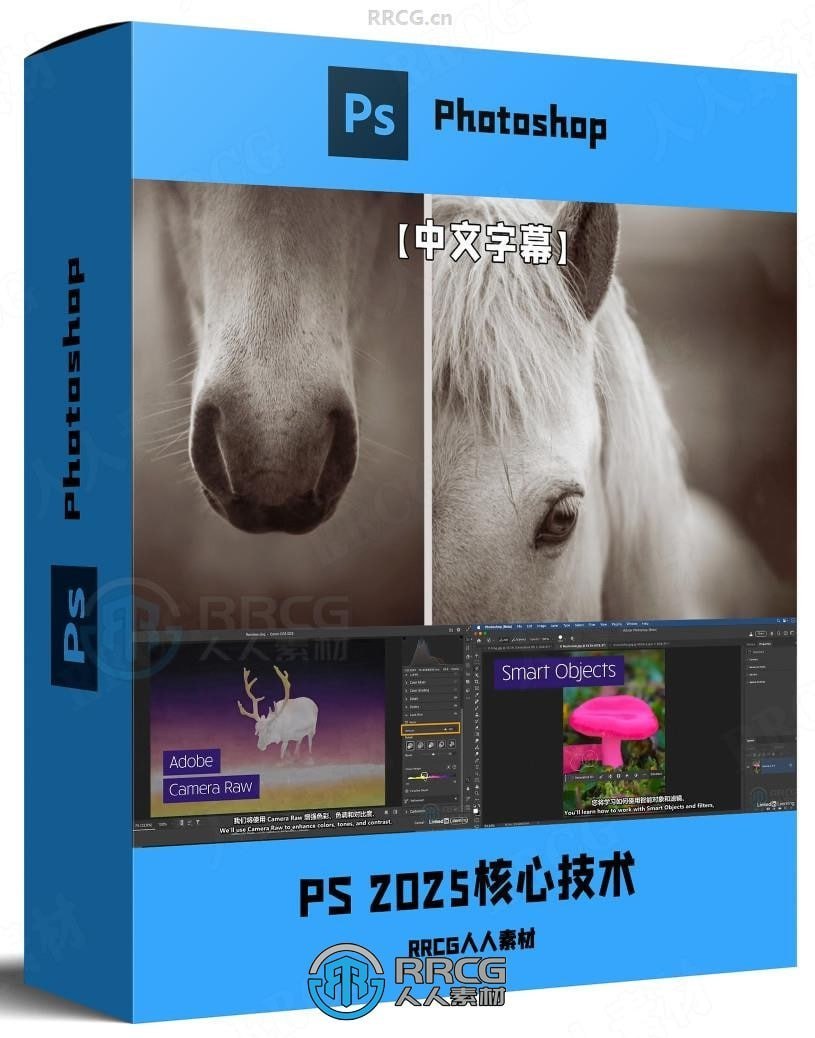 Photoshop2025全面核心技术训练教程【中文字幕】 - 夸克网盘 资源封面图