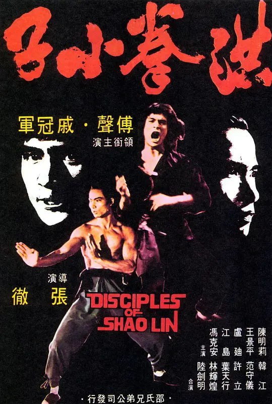 洪拳小子 (1975) - 夸克网盘 资源封面图